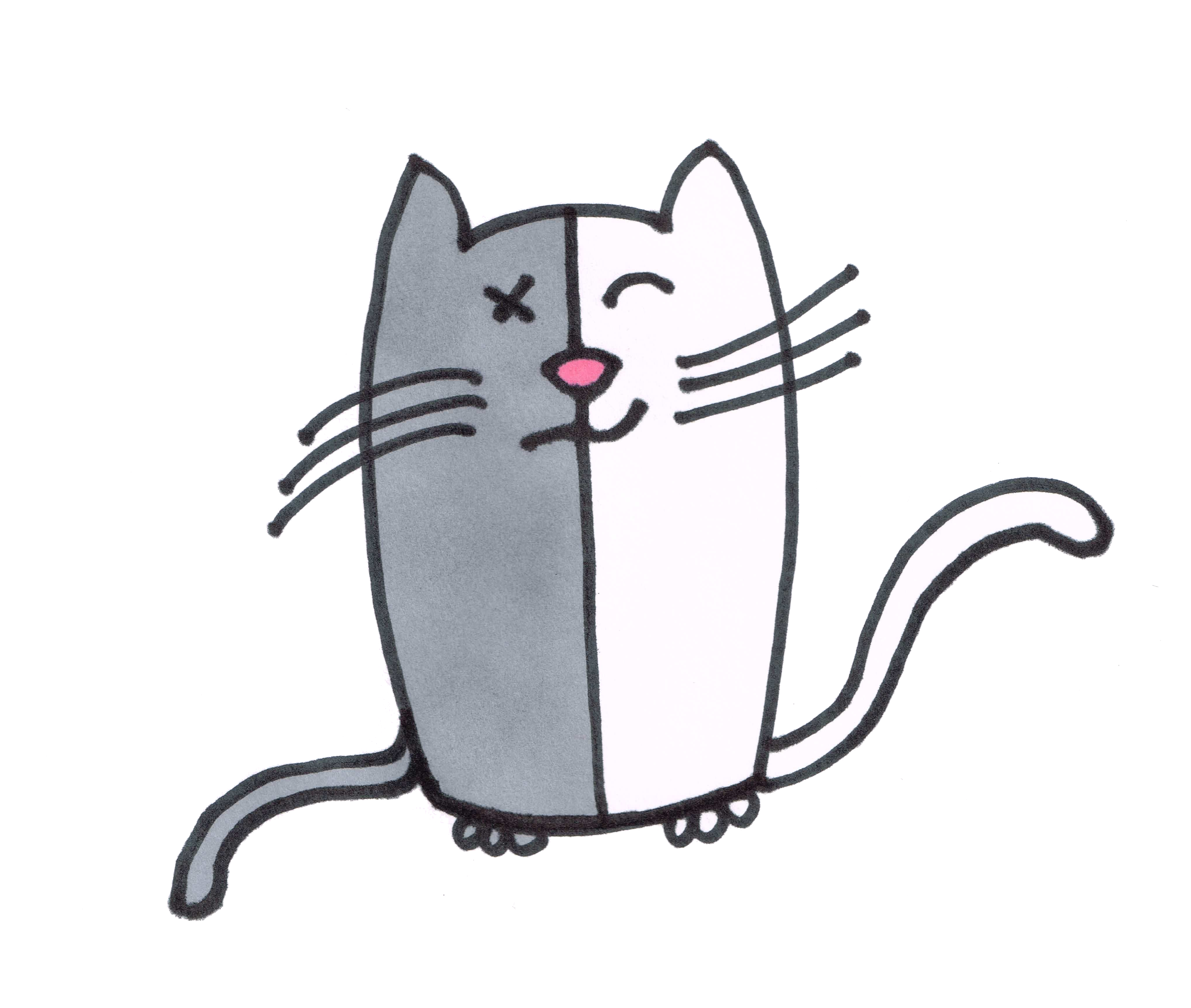 The Uncertainty of Schroedinger's Cat