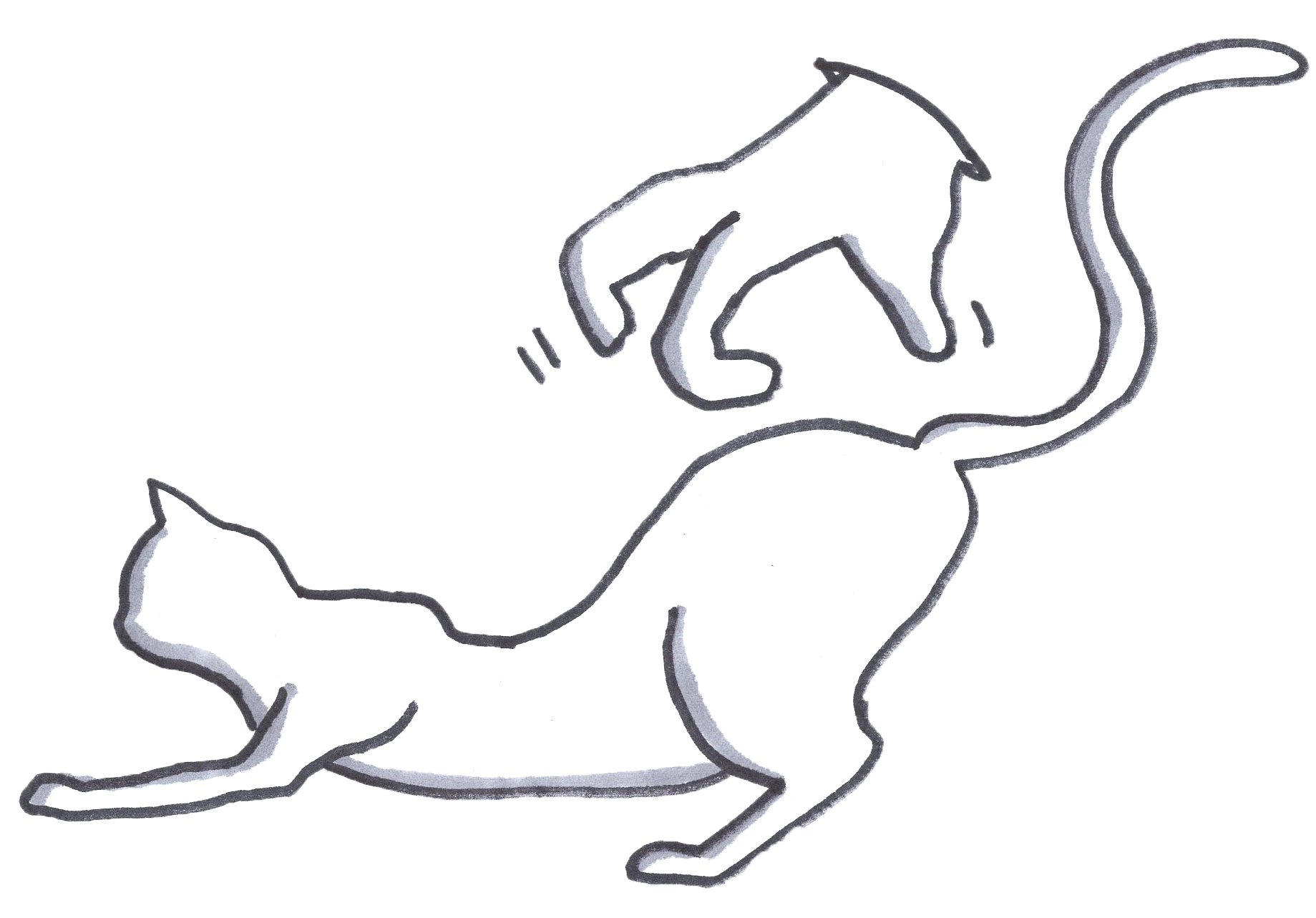 A sweet spot in a cat's body parts.