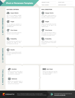 Pivot or Persevere Template