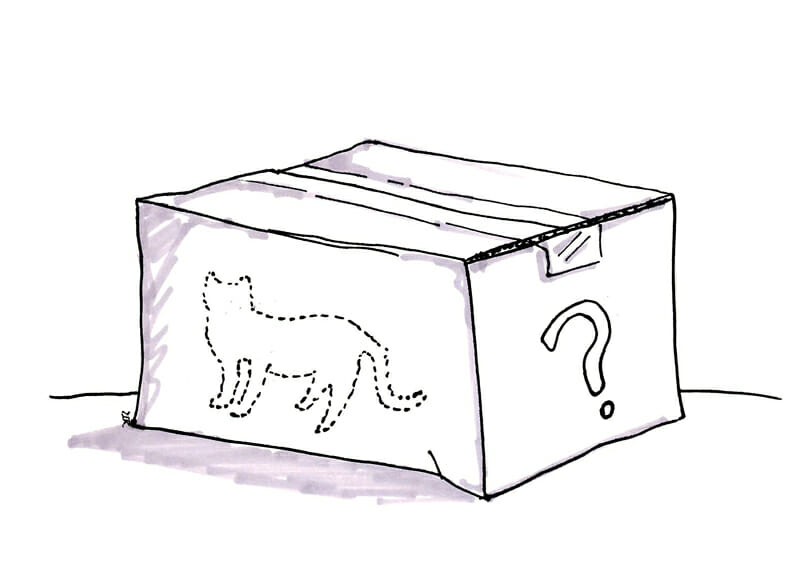 Schroedingers Cat - Monster Projects That Will Kill Your Career as an Intrapreneur