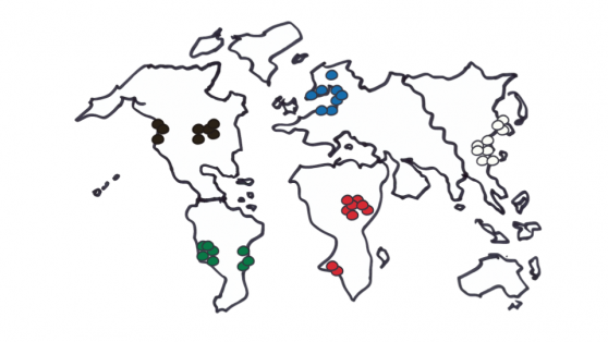 Homogenous-Teams-Global-Diversity