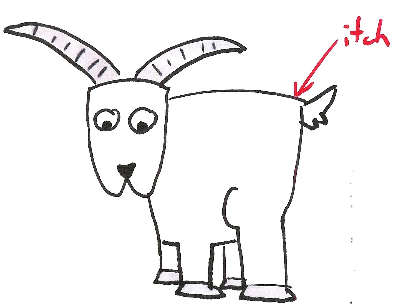 Build Measure Learn vs. Learn Measure Build